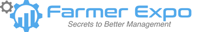site logo