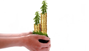 Investment 