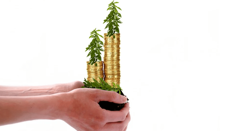 Investment